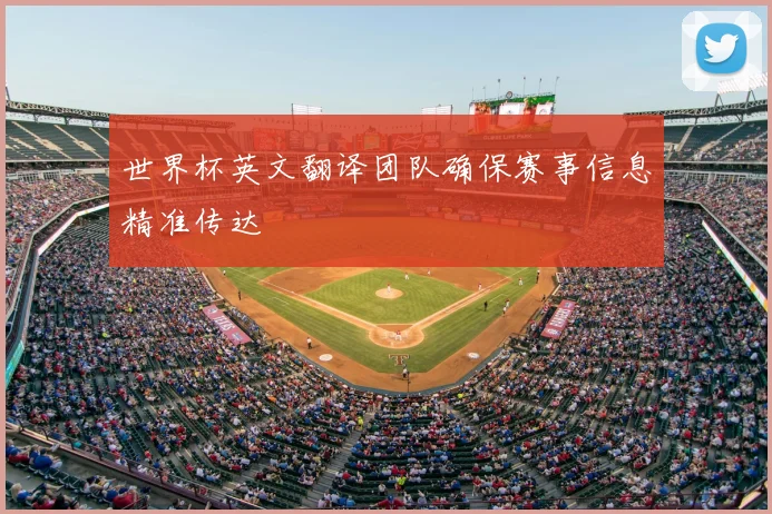 世界杯英文翻译团队确保赛事信息精准传达