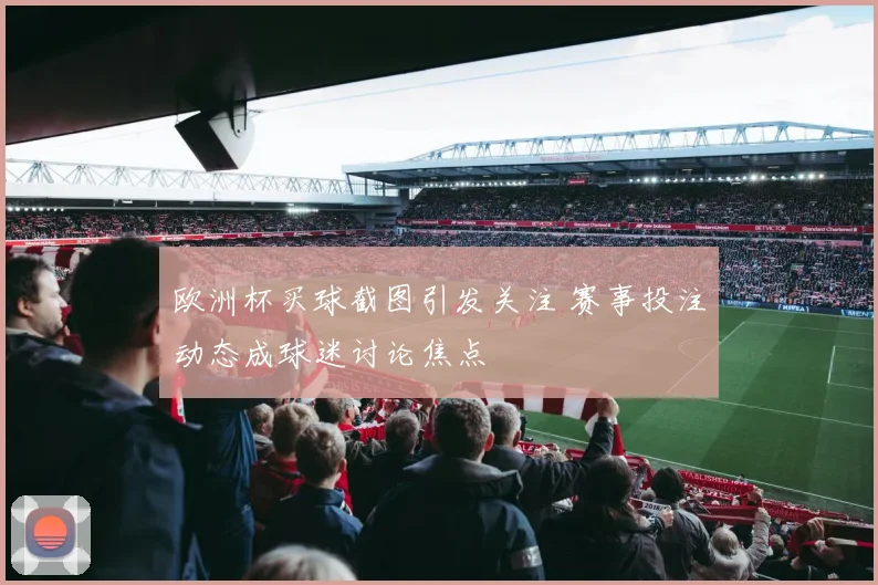 欧洲杯买球截图引发关注 赛事投注动态成球迷讨论焦点