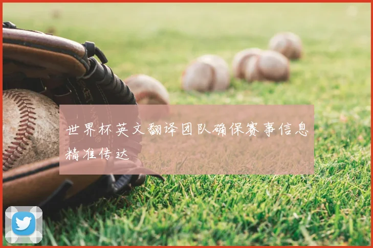世界杯英文翻译团队确保赛事信息精准传达