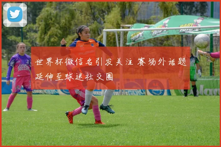 世界杯微信名引发关注 赛场外话题延伸至球迷社交圈