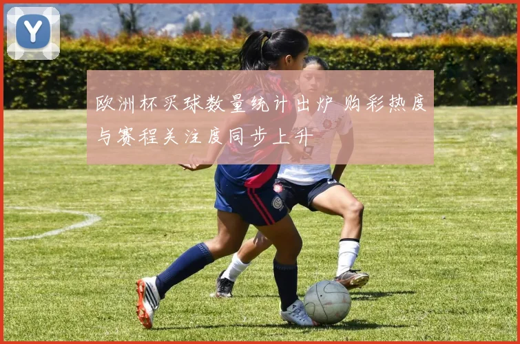 欧洲杯买球数量统计出炉 购彩热度与赛程关注度同步上升
