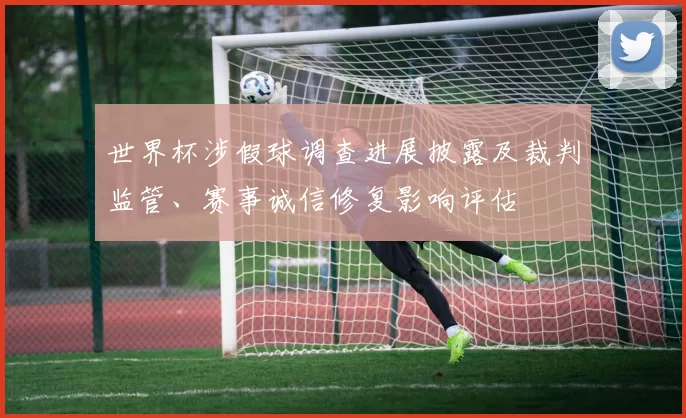 世界杯涉假球调查进展披露及裁判监管、赛事诚信修复影响评估