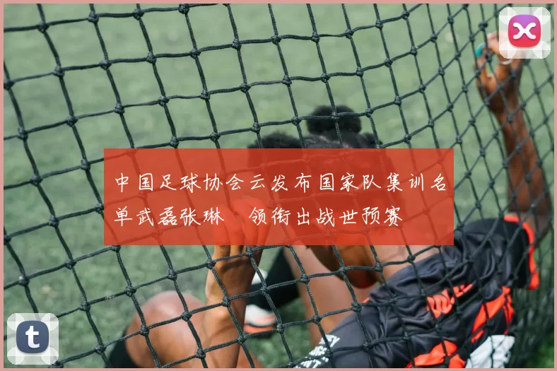 中国足球协会云发布国家队集训名单武磊张琳芃领衔出战世预赛