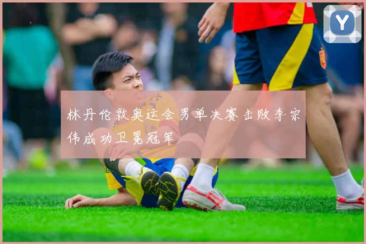 林丹伦敦奥运会男单决赛击败李宗伟成功卫冕冠军