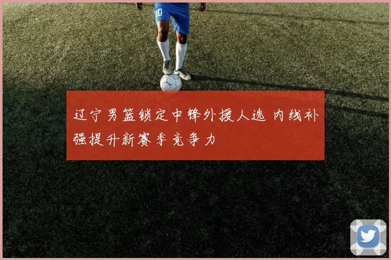 辽宁男篮锁定中锋外援人选 内线补强提升新赛季竞争力