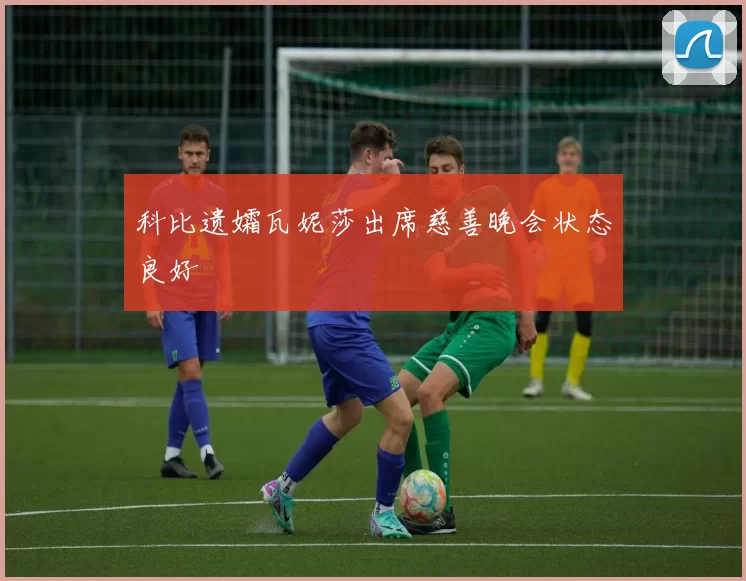 科比遗孀瓦妮莎出席慈善晚会状态良好