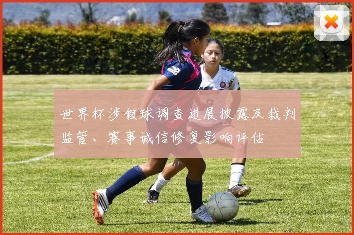 世界杯涉假球调查进展披露及裁判监管、赛事诚信修复影响评估