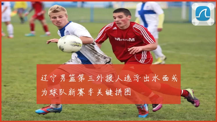 辽宁男篮第三外援人选浮出水面或为球队新赛季关键拼图